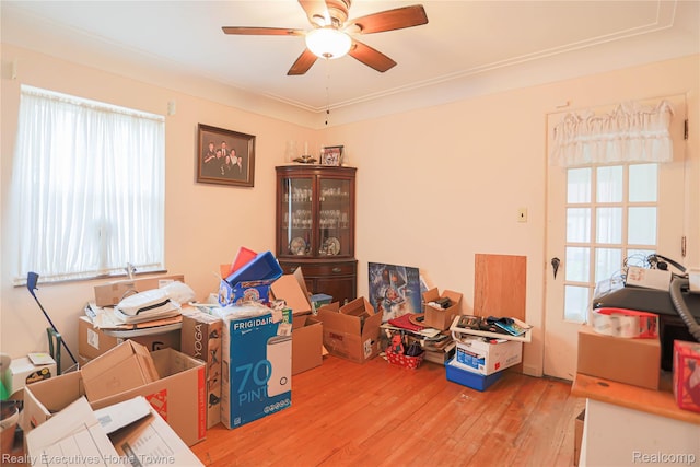 22757 Rausch Ave, Eastpointe, MI 48021 - photo 15