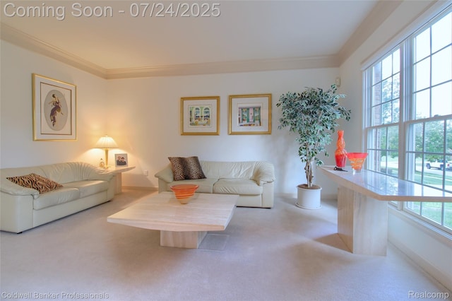 49733 Ash Ct, Plymouth, MI 48170 - photo 10