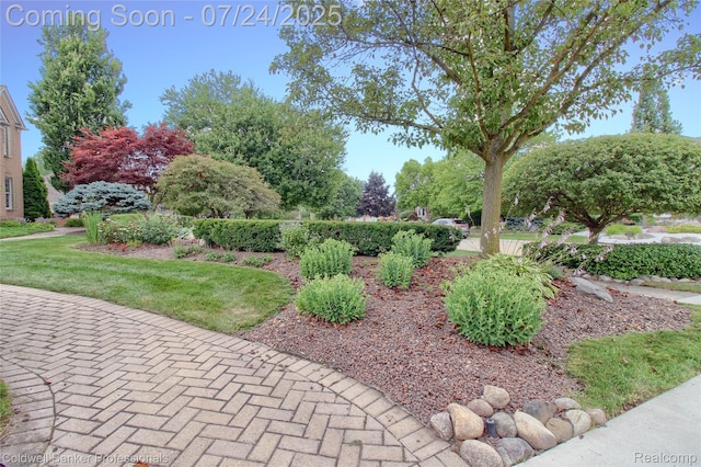 49733 Ash Ct, Plymouth, MI 48170 - photo 5