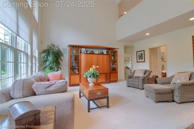 49733 Ash Ct, Plymouth, MI 48170 - photo 17