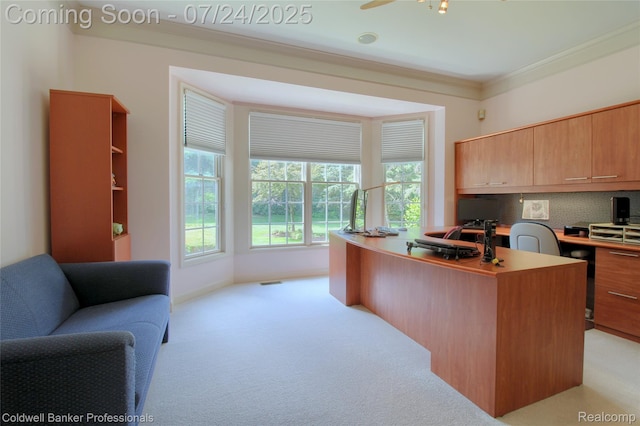 49733 Ash Ct, Plymouth, MI 48170 - photo 29