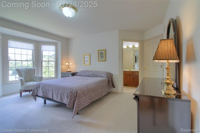 49733 Ash Ct, Plymouth, MI 48170 - photo 40
