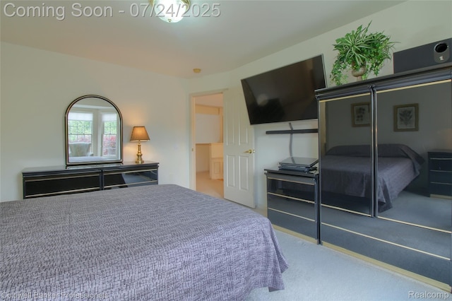 49733 Ash Ct, Plymouth, MI 48170 - photo 41