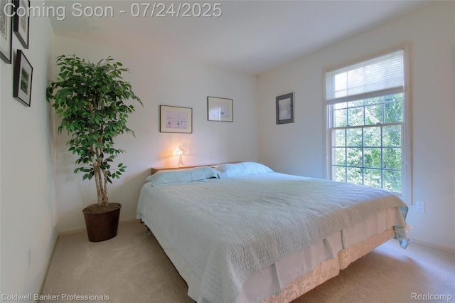 49733 Ash Ct, Plymouth, MI 48170 - photo 44