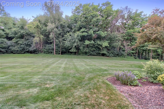 49733 Ash Ct, Plymouth, MI 48170 - photo 72