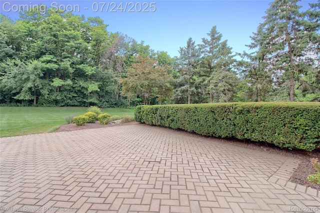 49733 Ash Ct, Plymouth, MI 48170 - photo 70