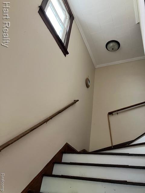 6146 N Branch Rd, North Branch, MI 48461 - photo 5