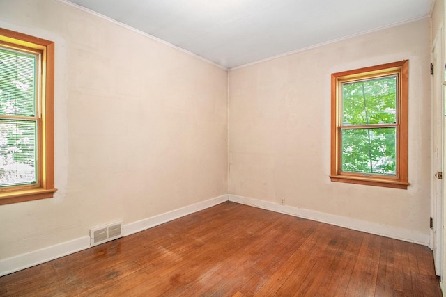 317 Doty Ave, Ann Arbor, MI 48103 - photo 7