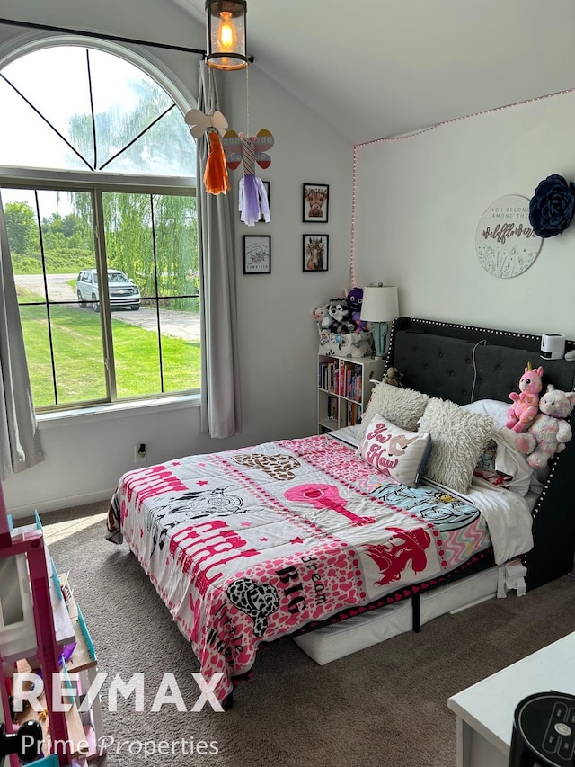 2855 Bowers Rd, Lapeer, MI 48446 - photo 31