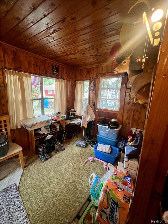 1743 Kendall St, National City, MI 48748 - photo 19