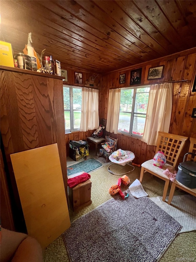 1743 Kendall St, National City, MI 48748 - photo 20