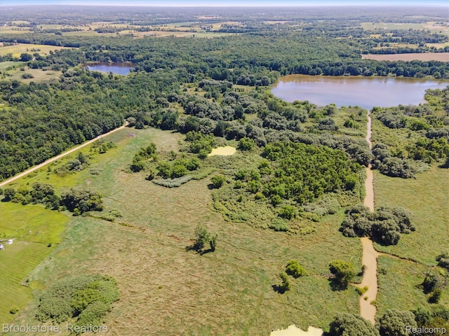 00 Squaw Lake Rd, Silverwood, MI 48760 - photo 4