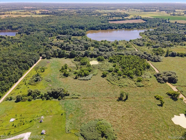 00 Squaw Lake Rd, Silverwood, MI 48760 - photo 3