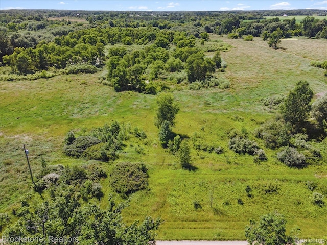 00 Squaw Lake Rd, Silverwood, MI 48760 - photo 8