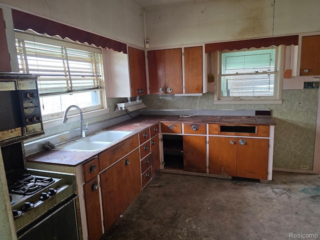 1315 Mitchell St, Jackson, MI 49203 - photo 21