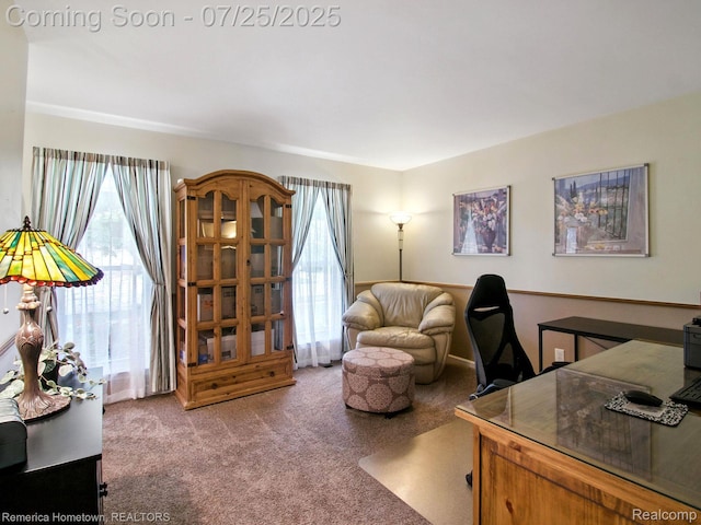 612 Bedford Dr, Westland, MI 48185 - photo 4