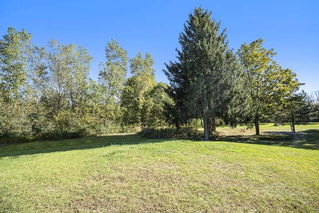 849 18th St, Otsego, MI 49078 - photo 38