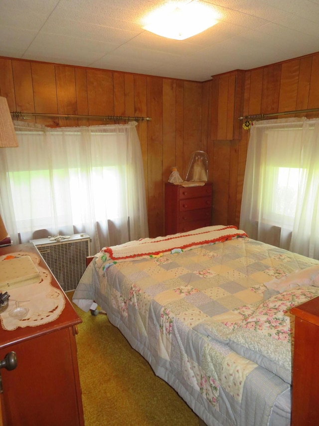 134 Cottage Dr, Horton, MI 49246 - photo 15
