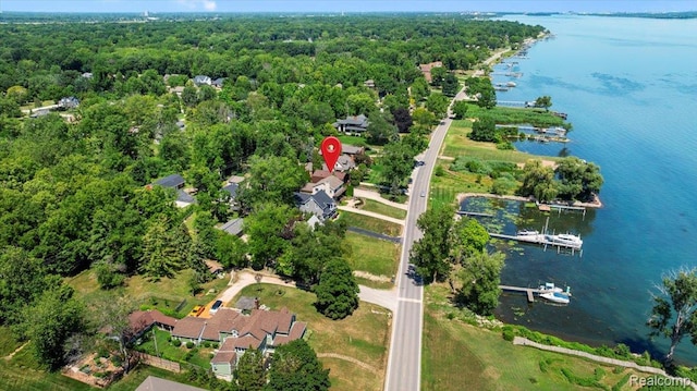 22558 E River Rd, Grosse Ile, MI 48138 - photo 40