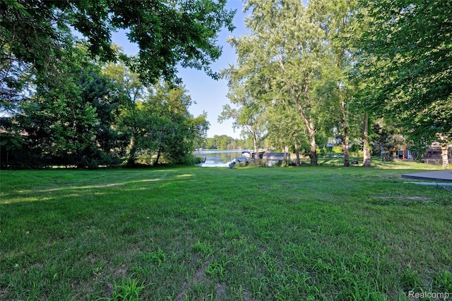6342 Restwood Dr, Linden, MI 48451 - photo 55