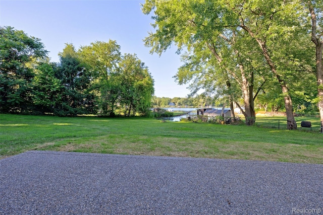 6342 Restwood Dr, Linden, MI 48451 - photo 60