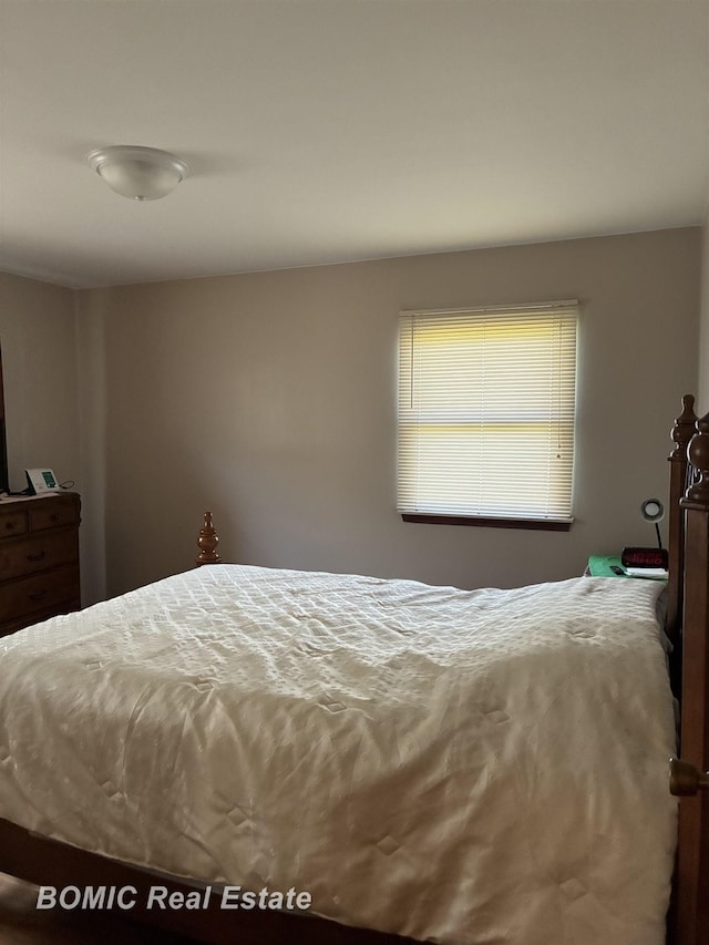 12066 Oak St, Birch Run, MI 48415 - photo 10