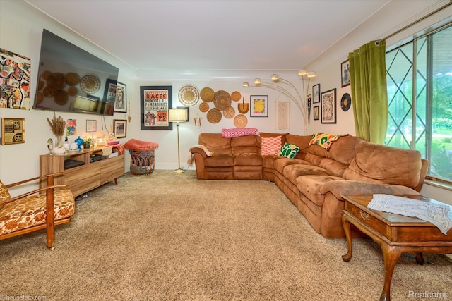 1154 Beth Dr, Lapeer, MI 48446 - photo 5