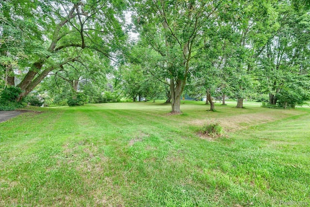 1154 Beth Dr, Lapeer, MI 48446 - photo 44