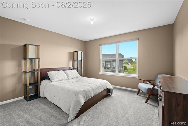 24267 Oak Ridge Blvd, South Lyon, MI 48178 - photo 29