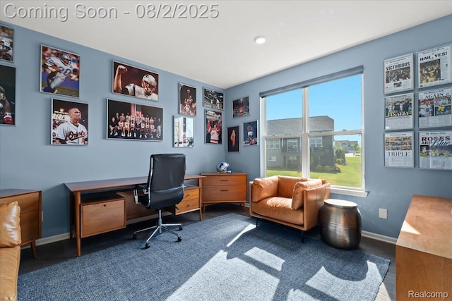 24267 Oak Ridge Blvd, South Lyon, MI 48178 - photo 32