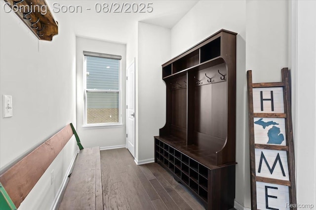 24267 Oak Ridge Blvd, South Lyon, MI 48178 - photo 18