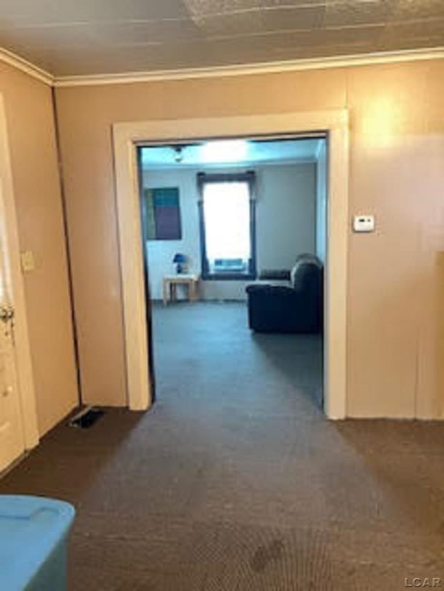 1023 E Church St, Adrian, MI 49221 - photo 14