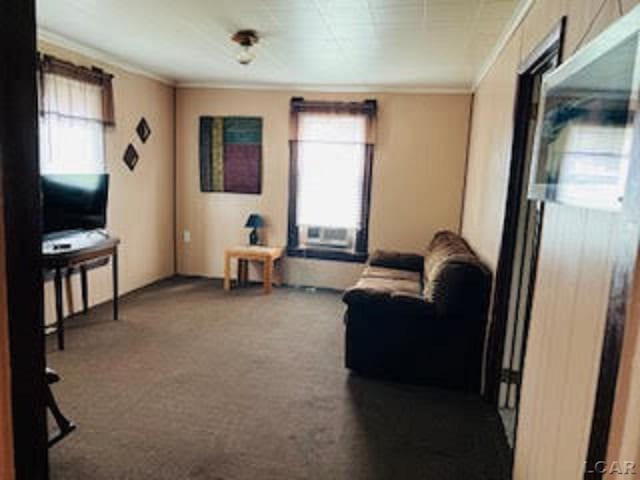 1023 E Church St, Adrian, MI 49221 - photo 20