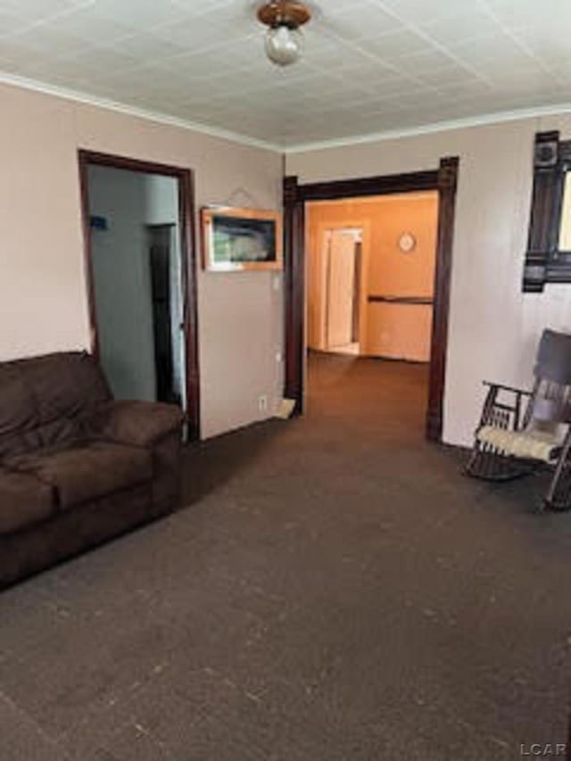1023 E Church St, Adrian, MI 49221 - photo 7
