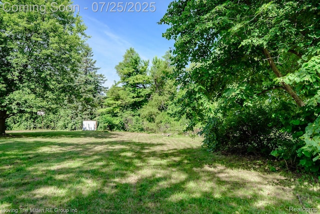 6473 N Monroe St, Frenchtown, MI 48162 - photo 7