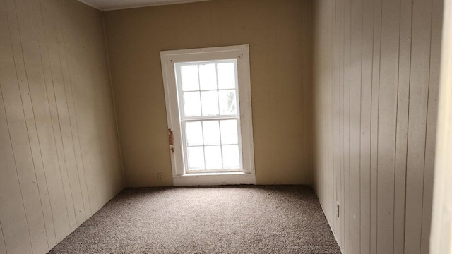 120 E Montcalm St, Greenville, MI 48838 - photo 40