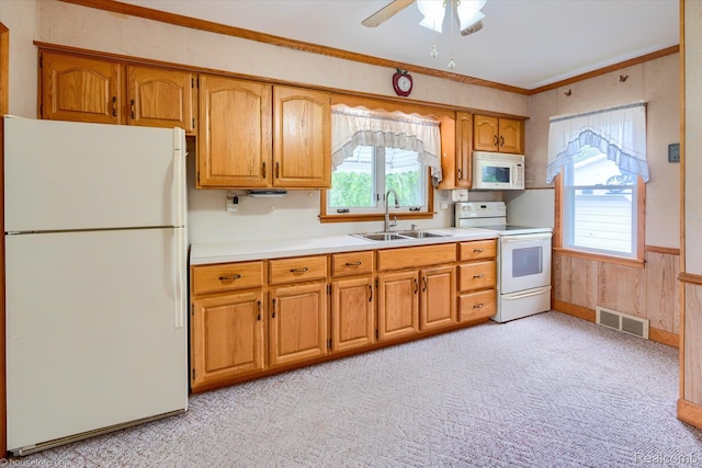 213 Morrell St, Yale, MI 48097 - photo 12