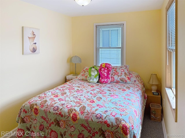 2455 Surrey St, Hamilton, MI 48625 - photo 23