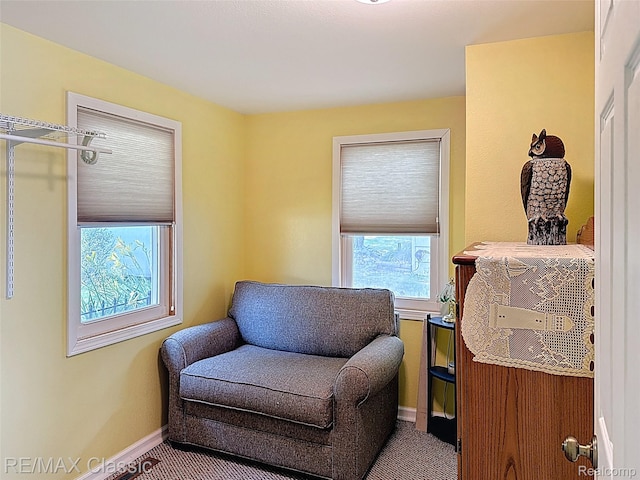 2455 Surrey St, Hamilton, MI 48625 - photo 25