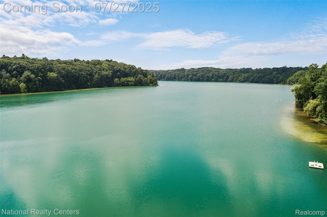2191 Addaleen Rd, Highland, MI 48357 - photo 6