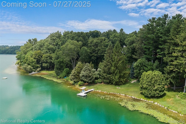 2191 Addaleen Rd, Highland, MI 48357 - photo 7