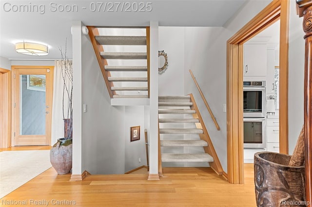 2191 Addaleen Rd, Highland, MI 48357 - photo 26