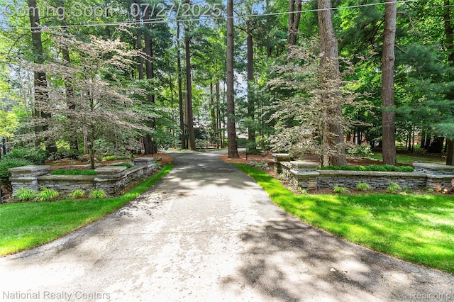 2191 Addaleen Rd, Highland, MI 48357 - photo 47