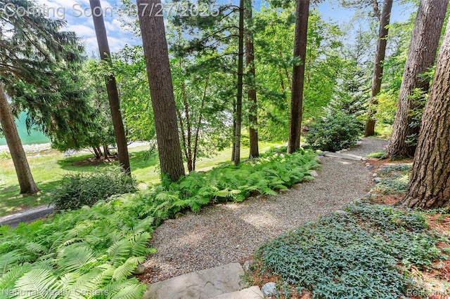 2191 Addaleen Rd, Highland, MI 48357 - photo 69