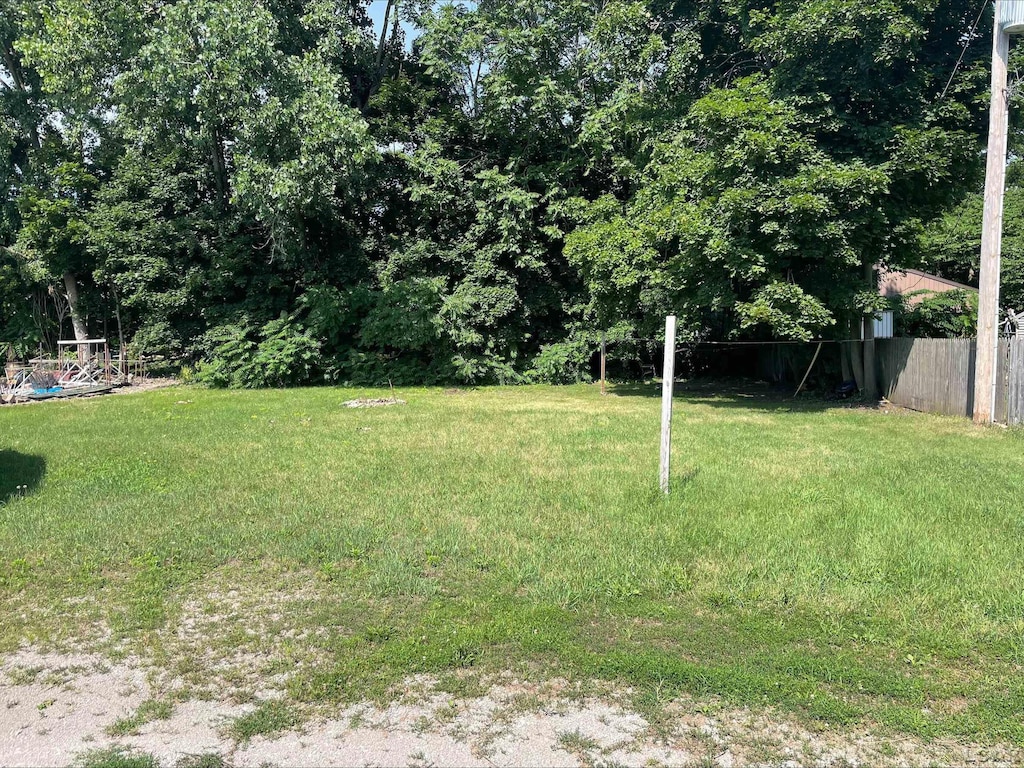309 S Evans St, Tecumseh, MI 49286 - photo 4