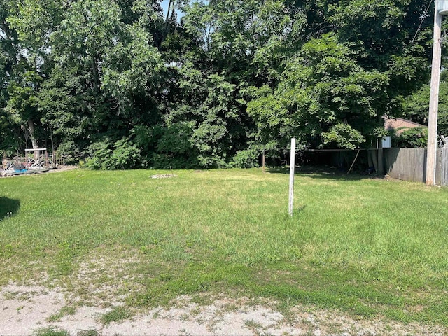 309 S Evans St, Tecumseh, MI 49286 - photo 4