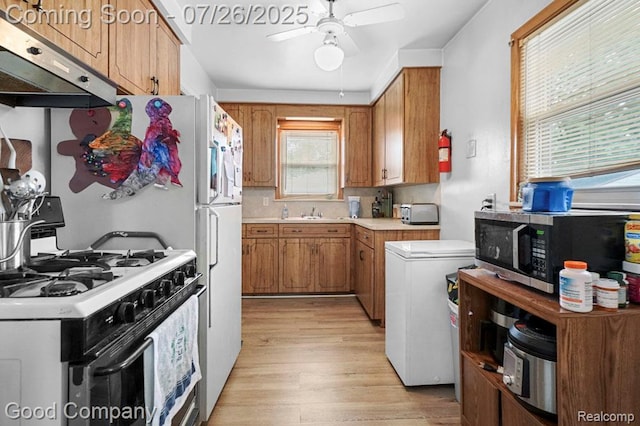 27318 Grant St, Roseville, MI 48081 - photo 8