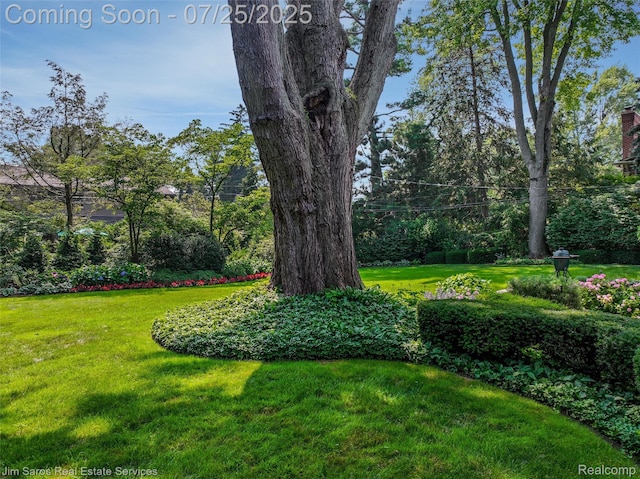 51 Lochmoor Blvd, Grosse Pointe Shores, MI 48236 - photo 46