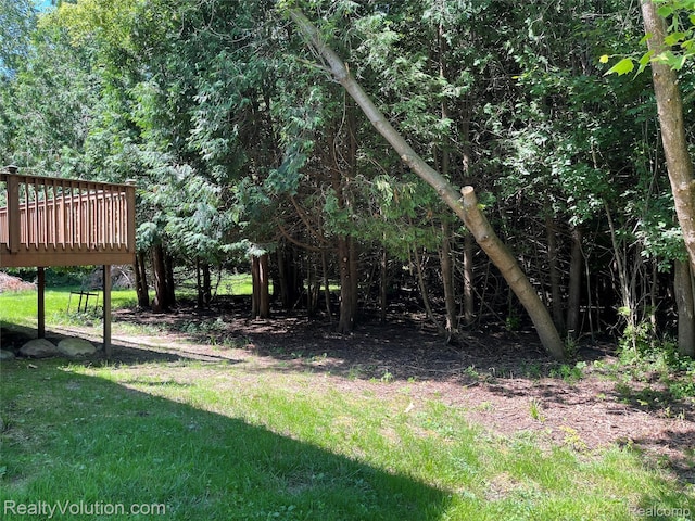 6649 Mckibbon Rd, North Branch, MI 48461 - photo 26