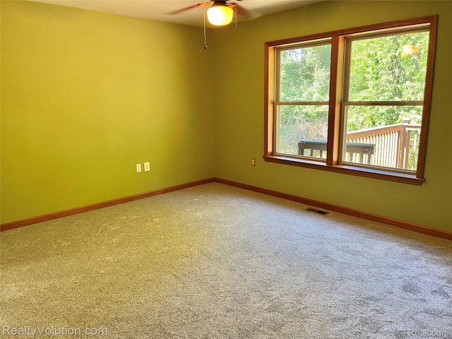 6649 Mckibbon Rd, North Branch, MI 48461 - photo 13